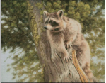 (image for) Looking for Trouble